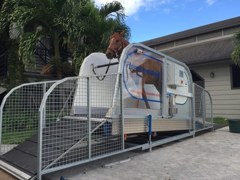AquaFlow Treadmill Horse Aqua Trainer Footing Solutions USA